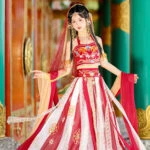 Women Dunhuang Hanfu Fairy Costume for Performance