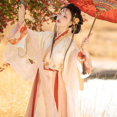 Women Wei Jin Qiyao Hanfu Autumn Casual Ruqun Dress