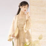 Song Dynasty Casual Hanfu Women Summer New Chinoiserie Style Long Shirt