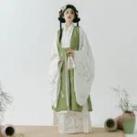 Fall Ming Dynasty Hanfu Long Aoqun Costume for Women