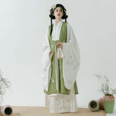 Fall Ming Dynasty Hanfu Long Aoqun Costume for Women