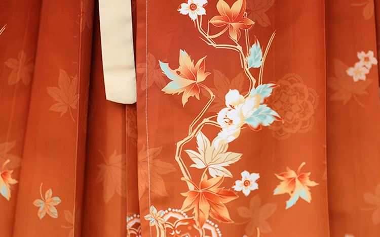 Winter Women Hanfu Song Style Long Coat Daily Suit