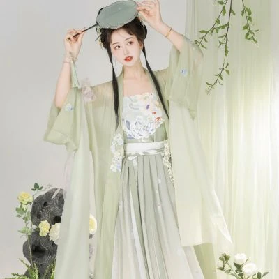 Song Women Hanfu Summer Fairy Long Shirt Dragon Element