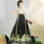 Summer Ming Dynasty Women Horse Face Dress Skirt Fresh Hanfu Series