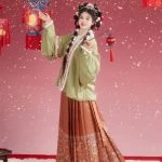Women Winter Hanfu Festive Ming Dynasty Traditional Clothing