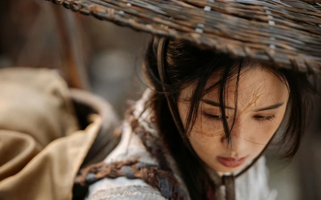 The Changing Importance of Supporting Roles in Chinese Dramas