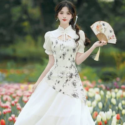 Chinoiserie Vintage Cheongsam Ink Casual Spring Qipao Dresses