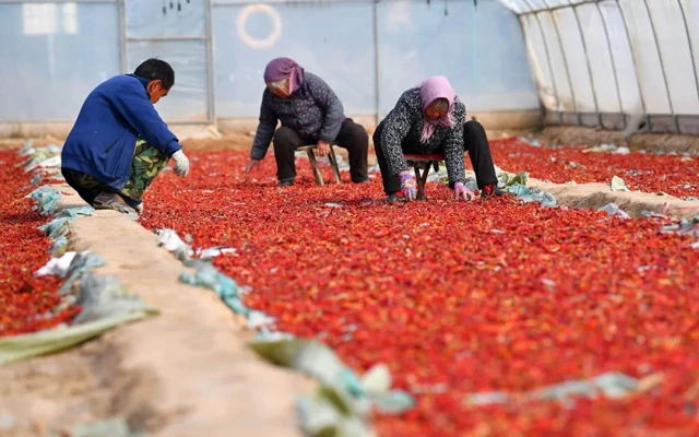 Tianshui Unveiled: Why This Chinese City is Climbing the Tourist Charts