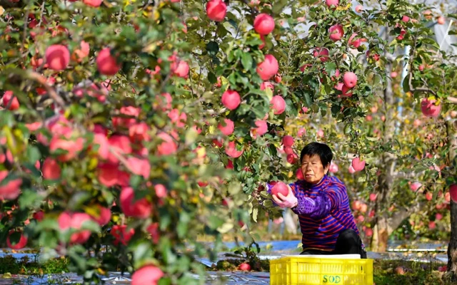 Tianshui Unveiled: Why This Chinese City is Climbing the Tourist Charts