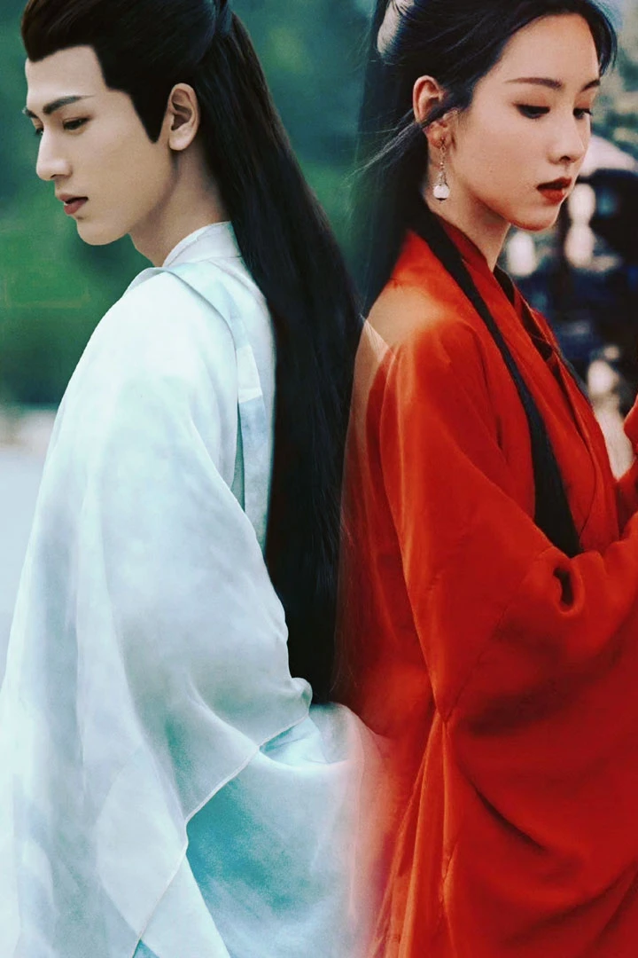 The Main Controversy of Fox Spirit Matchmaker,