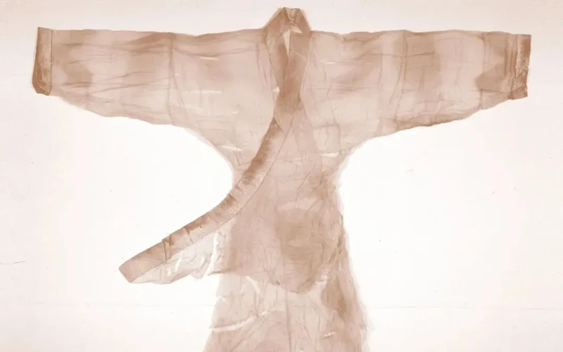 The Legacy of Mawangdui: An Exhibition of Rare and Priceless Cultural Relics
