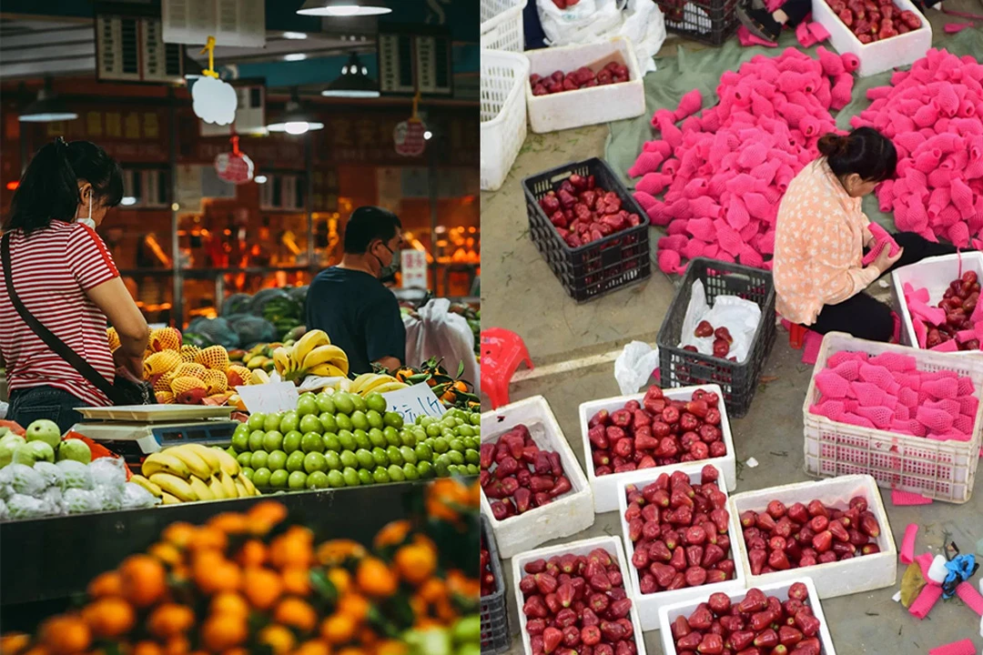 A Year-Round Tropical Fruit Paradise