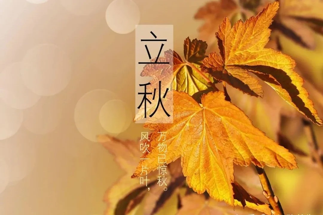 Autumn Traditions: the Seasonal Change with Festive Foods