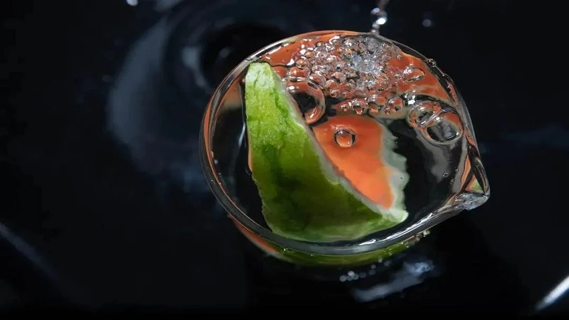 Innovative Membranes Inspired by Watermelon Rind in Ion Transport Technology