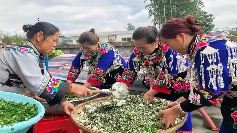 Rediscovering Matcha: From Ancient China to Modern Guizhou