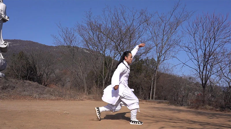 The Legacy of Shang Style Xingyi Kungfu