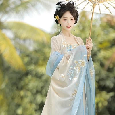 Hanfu Tang Dynasty Hezi Qun Spring Embroidered Fairy Skirt