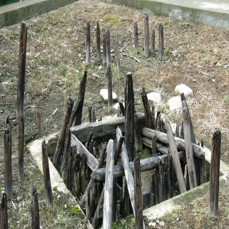 Zhejiang's Ancient Wooden Metropolis Reveal Secrets of the Yue Kingdom