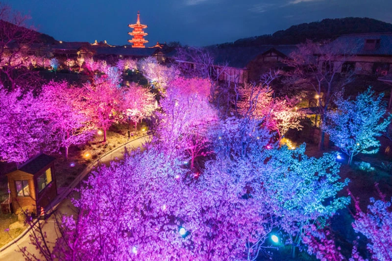 Wuxi AI Show 1