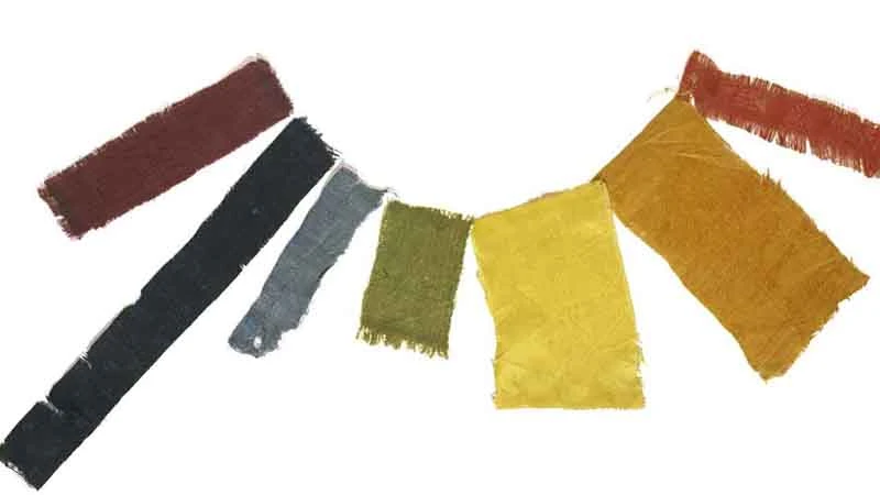 Draped in Dynasty: Tang Female Attire