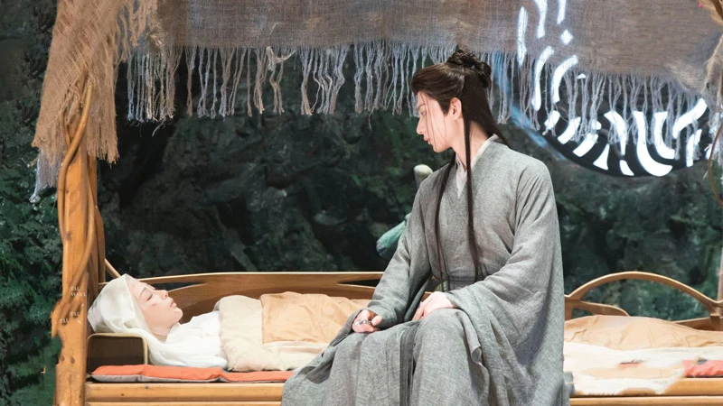 Immortal Samsara: The Love She Had to Forget