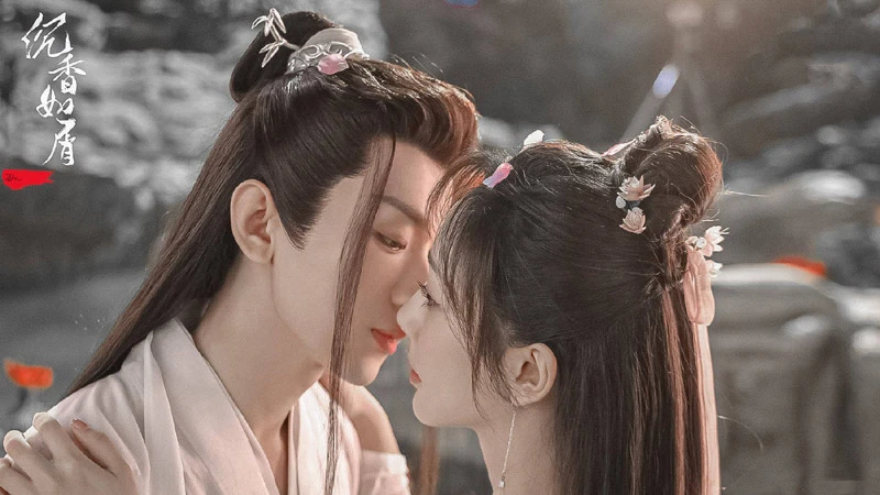 Immortal Samsara: The Love She Had to Forget