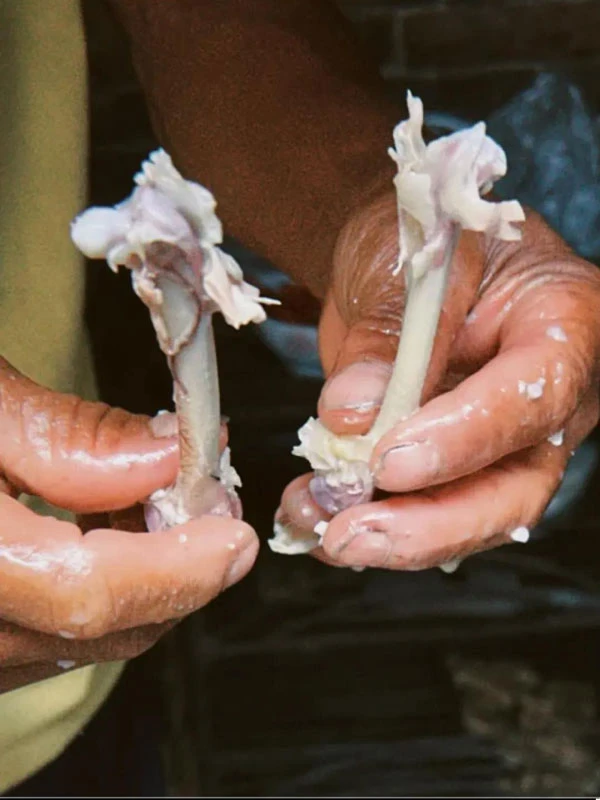 Food Divination: A Gentle Negotiation Between Humans and Fate