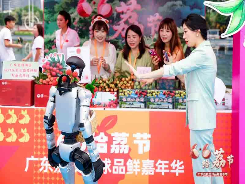TV Drama Sparks Lychee Craze