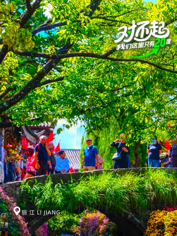 Escape the Sizzle: Discovering Lijiang’s 20°C Summer Sanctuary