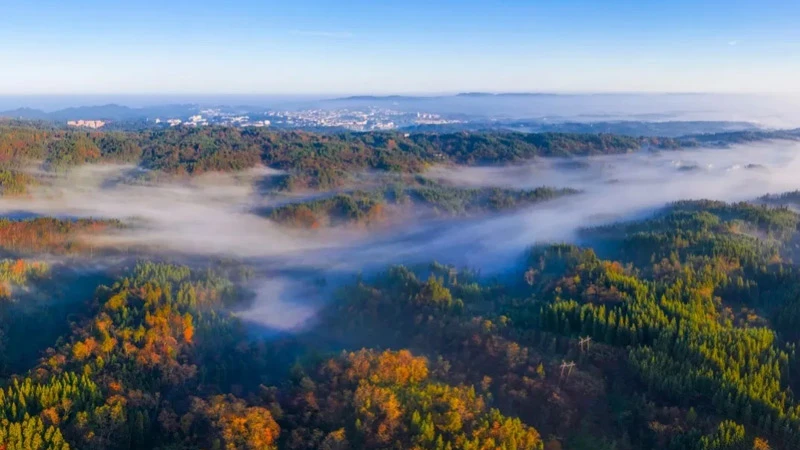 Huangshui National Resort Invites You to 21℃ Summer