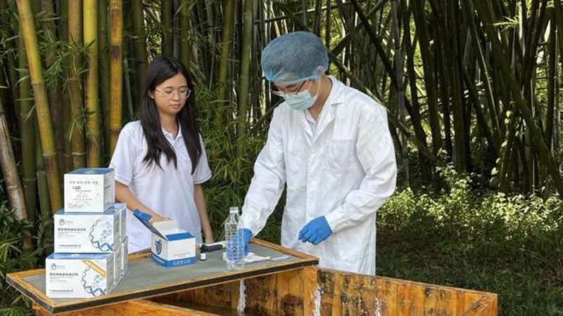 Intangible Heritage Liuxi Paper Breaks into Fashion