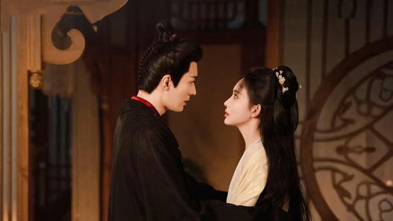 The Princess's Gambit: A Political Romance Divided Between Praise and Criticism