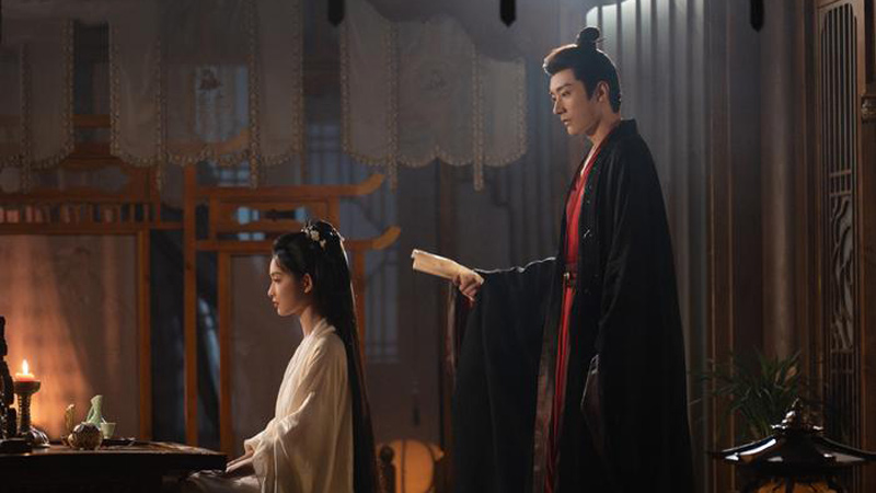 The Princess's Gambit: A Political Romance Divided Between Praise and Criticism