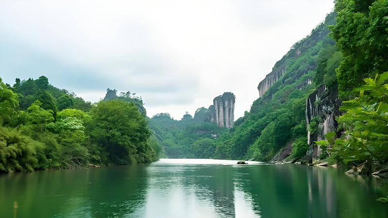 Wuyi's Living Legacy: Mist-Shrouded Peaks and Ancient Wisdom