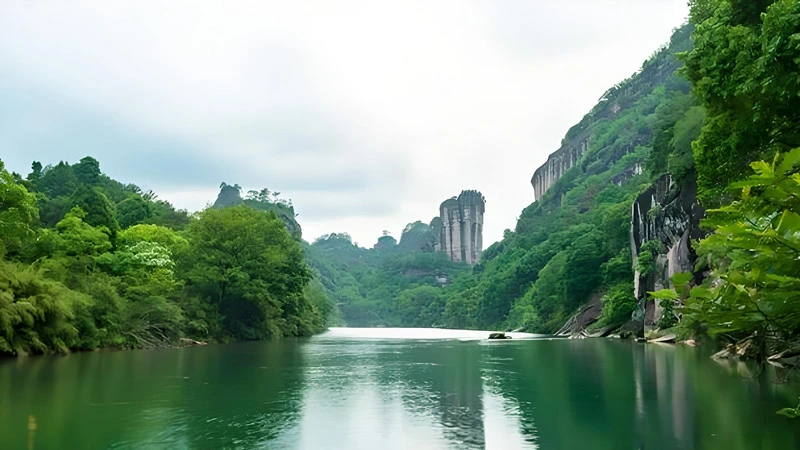 Wuyi's Living Legacy: Mist-Shrouded Peaks and Ancient Wisdom