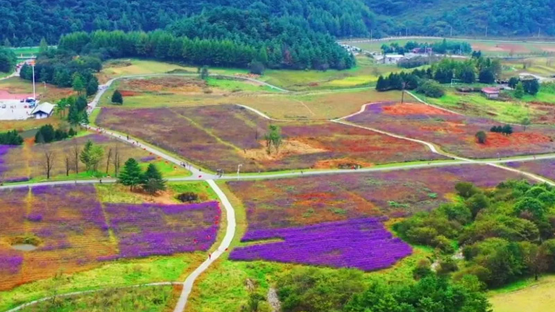 A Guide to Chongqing's Wild Heart and Fiery Plate