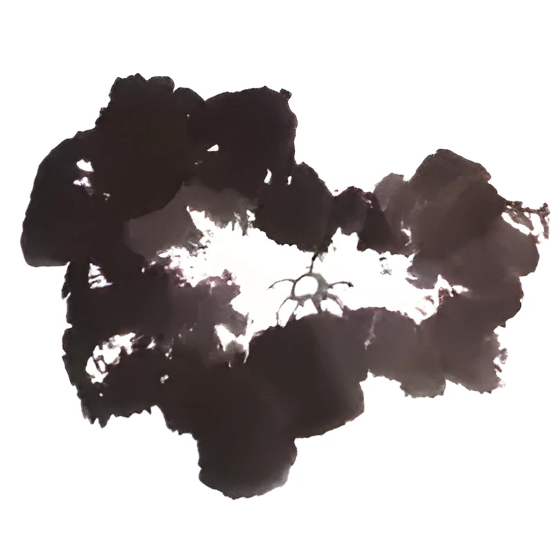 A Guide to Painting Lotus in Traditional Chinese Art