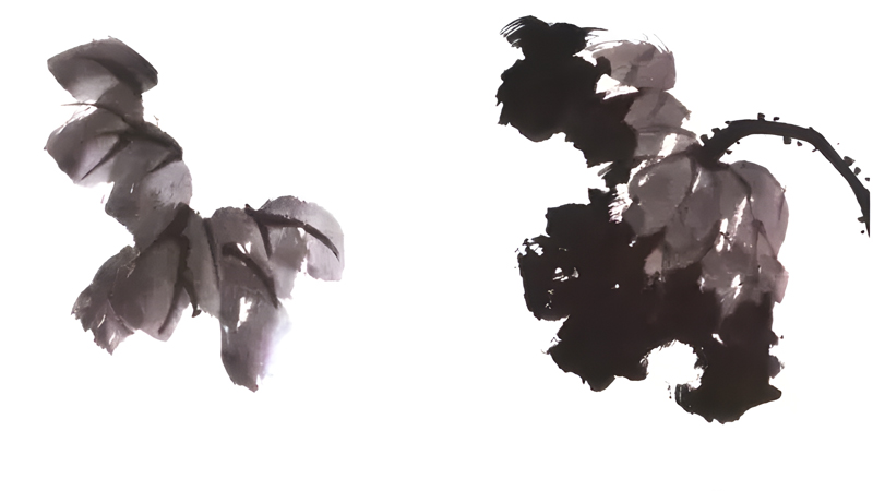 A Guide to Painting Lotus in Traditional Chinese Art