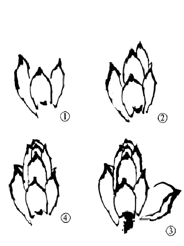 A Guide to Painting Lotus in Traditional Chinese Art