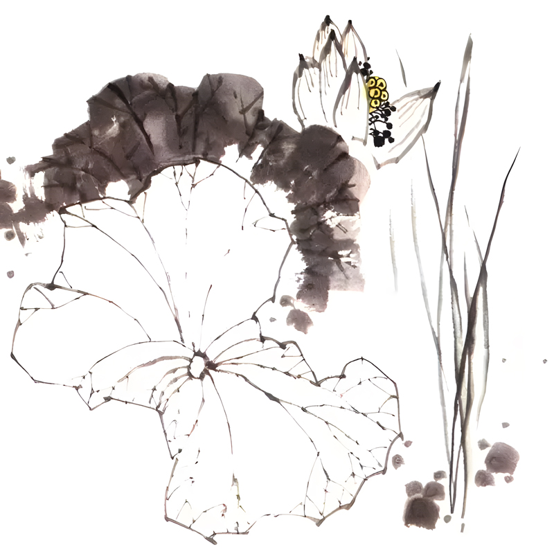 A Guide to Painting Lotus in Traditional Chinese Art