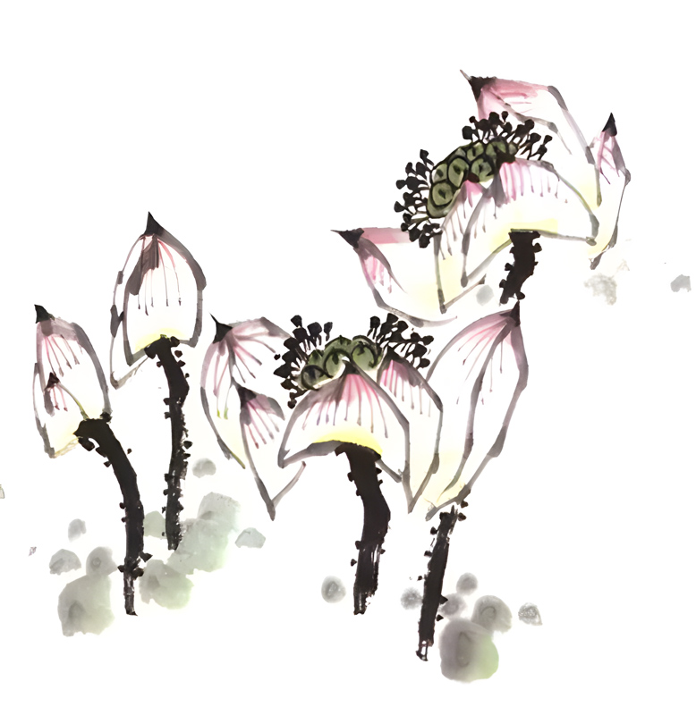 A Guide to Painting Lotus in Traditional Chinese Art