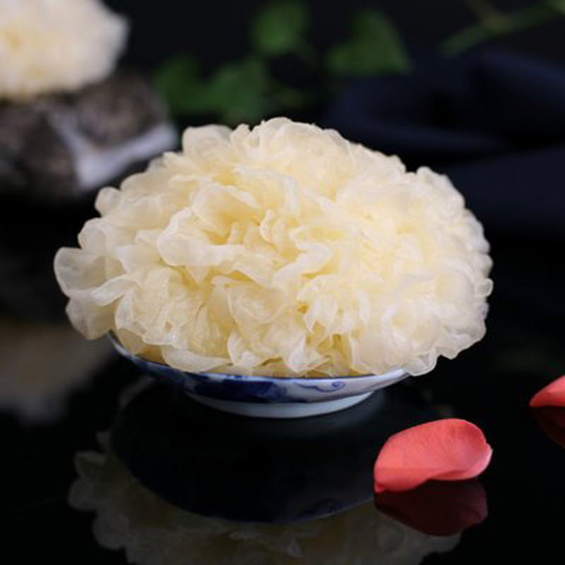 An Autumnal Guide to Wellness According to TCM