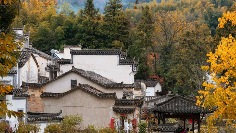 Anhui: Where Nature’s Dances with Centuries of Culture