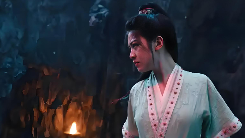 Brothers Torn Between Justice and Revenge in The Wanted Detective Finale