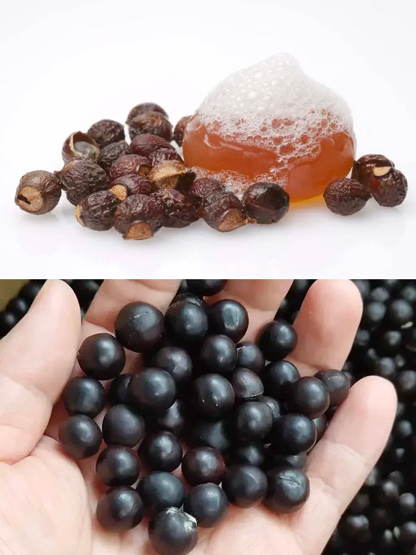 Can 10 Healing Artifacts Bridge Ancient Wisdom and Modern Wellness?