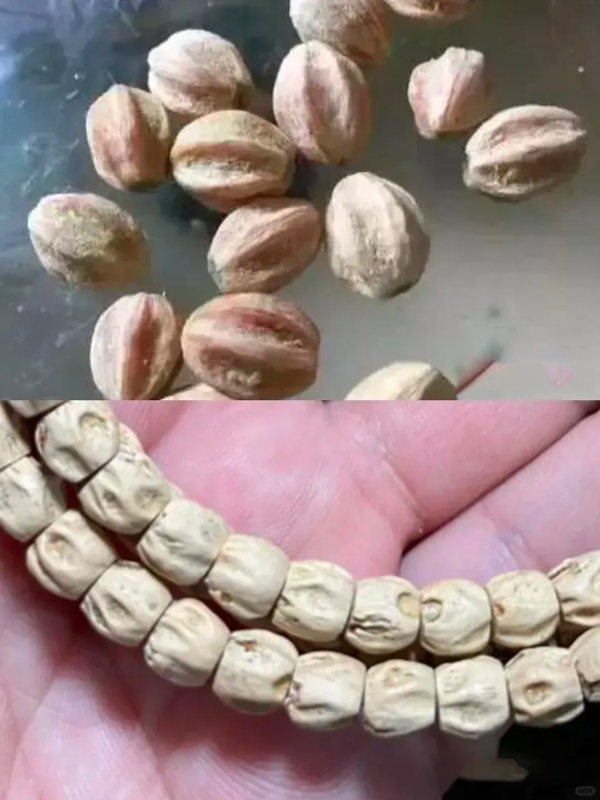 Can 10 Healing Artifacts Bridge Ancient Wisdom and Modern Wellness?