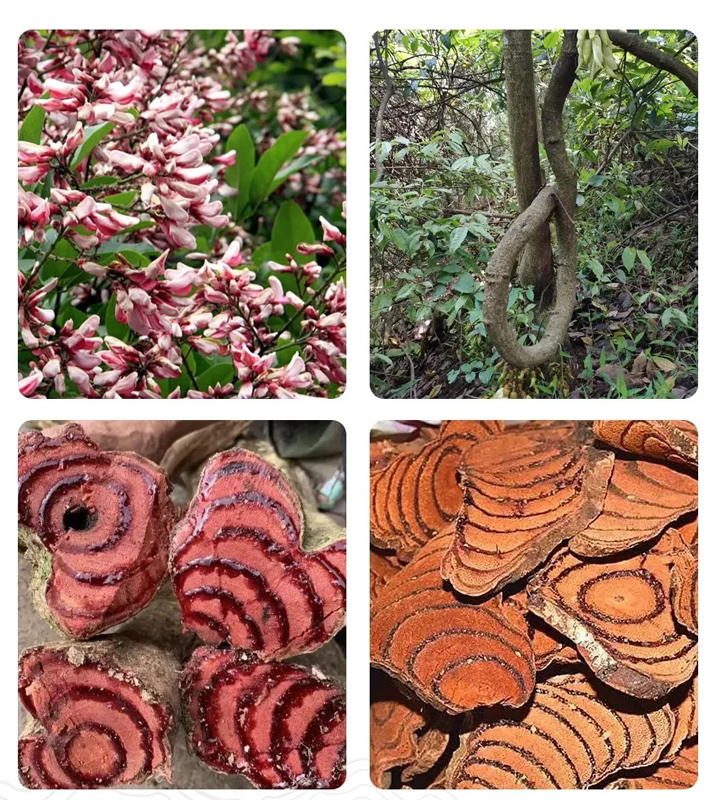 Can 10 Healing Artifacts Bridge Ancient Wisdom and Modern Wellness?