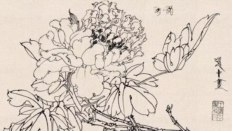 How to Conduct Line Drawing Sketching of Fine Brush Flower-and-Bird Paintings