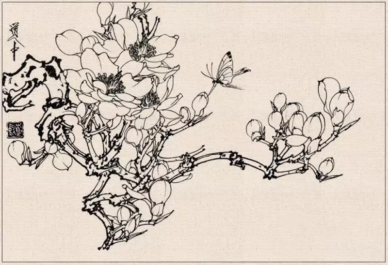 How to Conduct Line Drawing Sketching of Fine Brush Flower-and-Bird Paintings