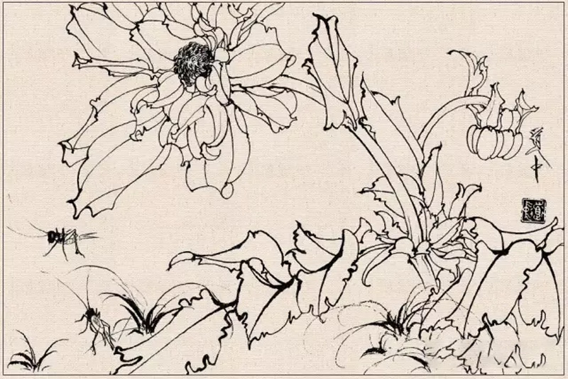 How to Conduct Line Drawing Sketching of Fine Brush Flower-and-Bird Paintings
